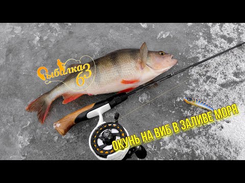 Видео: ЗИМНЯЯ РЫБАЛКА НА ПЕРВОМ ЛЬДУ: ЗДОРОВЫЙ ОКУНЬ НА ВИБ В ЗАЛИВЕ МОРЯ