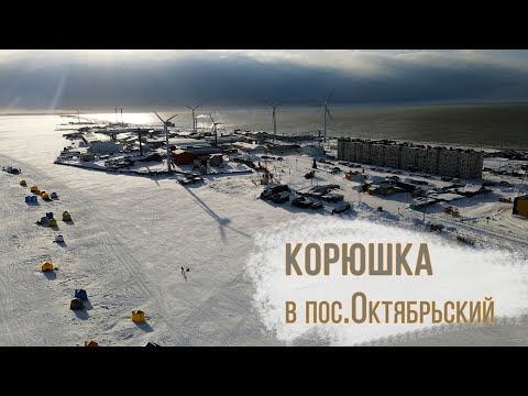 Видео: Первый выезд и сразу ловим! Зимняя рыбалка на корюшку в Октябрьском на Камчатке