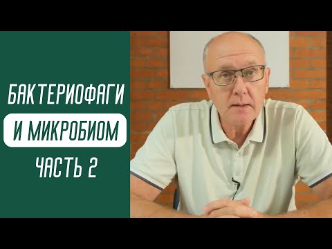 Видео: Бактериофаги и микробиом. Часть 2
