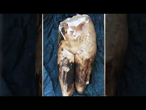 Видео: Древняя находка удивила археологов и разошлась по сети во всём мире