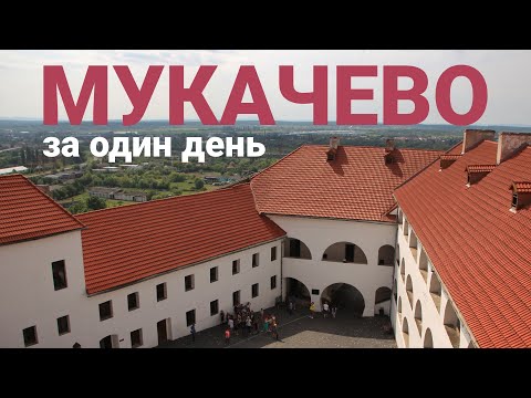 Видео: МУКАЧЕВО: шовдарь, бограч, Замок Паланок. Гуси Мартіна і щасливий сажотрус