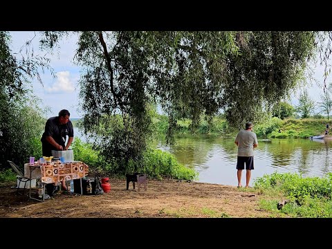 Видео: Разведка Новых Мест на Днепре. Плотва, Густера, Подлещик на Фидер. Рыбалка с Ночевкой на Днепре.