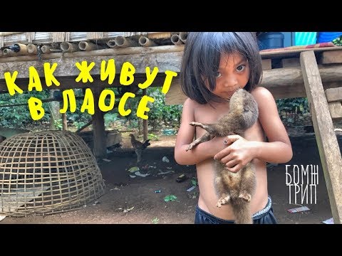 Видео: КАК ЖИВУТ ПРОСТЫЕ ЛЮДИ В ЛАОСЕ! Продолжение бомж-трипа, деревня в джунглях, настоящая Азия