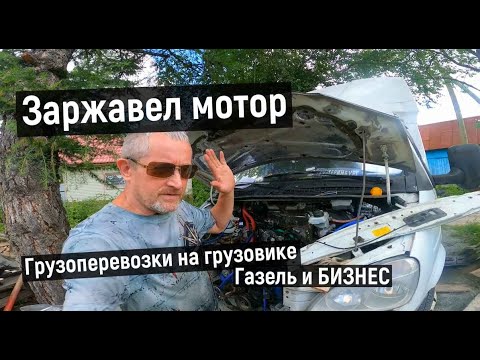Видео: ✅ЗАМЕНА ГОЛОВКИ БЛОКА ЦЕЛИНДРОВ  Умз 4216 . ВЫТАЩИЛ ПОРШНЯ и АХНУЛ