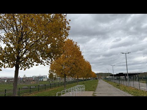 Видео: Меркурій сила вашого мислення! В 🍂 листопаді буде ретро, ну так і шо?