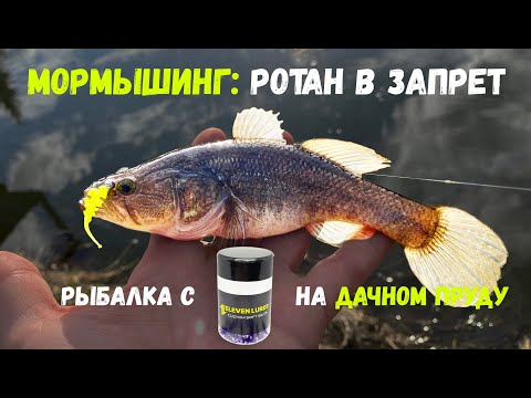 Видео: РОТАН НА МОРМЫШИНГ. РЫБАЛКА С ELEVEN LURES НА ДАЧНОМ ПРУДУ В ЗАПРЕТ.