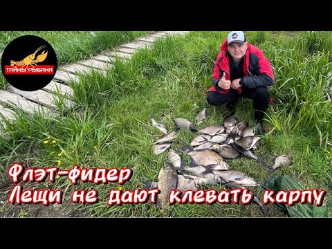 Видео: РЫБАЛКА НА ФЛЭТ ФИДЕР ИЛИ КАК Я ОТХВАТИЛ ЛЕЩА)))