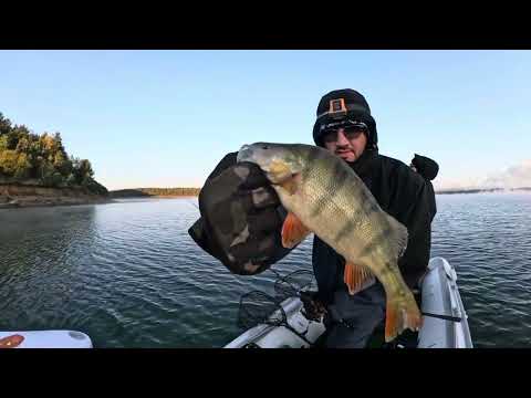 Видео: За Бяла риба и костури на яз. Искър. Джиг риболов от лодка .