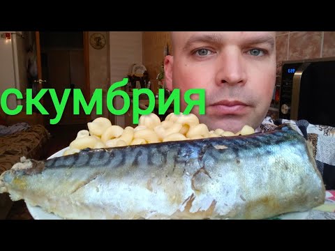 Видео: МУКБАНГ СКУМБРИЯ отварная/ОБЖОР