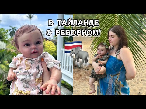 Видео: 🇨🇷 ОТПУСК С РЕБОРНОМ | ОБЗОР НА НАШ НОМЕР 🌴🐘