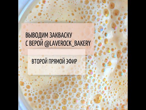Видео: Открытый марафон по выведению закваски от @laverock_bakery. Второй прямой эфир