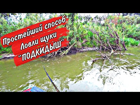 Видео: КТО ЗНАЕТ, уже ДАВНО ЛОВЯТ, а КТО не ЗНАЕТ-СМОТРИТЕ!!!