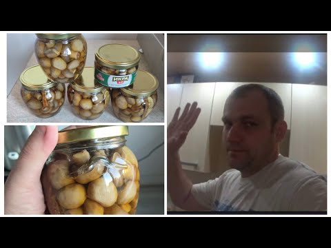 Видео: ОЧЕНЬ ВКУСНЫЕ МАГАЗИННЫЕ ГРИБЫ В АВТОКЛАВЕ НА ПЛИТЕ, ШАМПИНЬОНЫ С ХИТРИНКОЙ, ПОГНАЛИ!