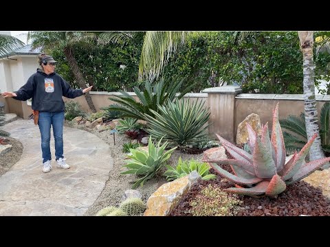 Видео: ЭТО ГРАНДИОЗНОЕ ОТКРЫТИЕ ВО ДВОРЕ КАРЛСБАДСКИХ КЛАССОВ!