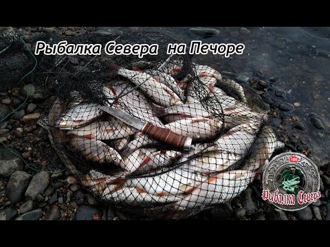 Видео: Рыбалка на Печоре.Первая часть/Рыбалка Севера.