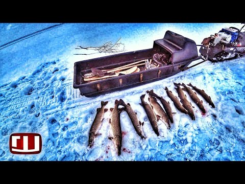 Видео: Бывает что не клюет щука! А потом кааак! Путоранские монстры!