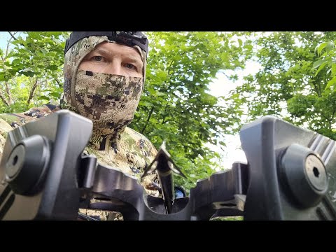 Видео: Охота на кабана с арбалетом