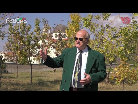 Видео: "Скопие, Скопие" - Димитър Коларов/"Skopie, Skopie" - Dimitar Kolarov