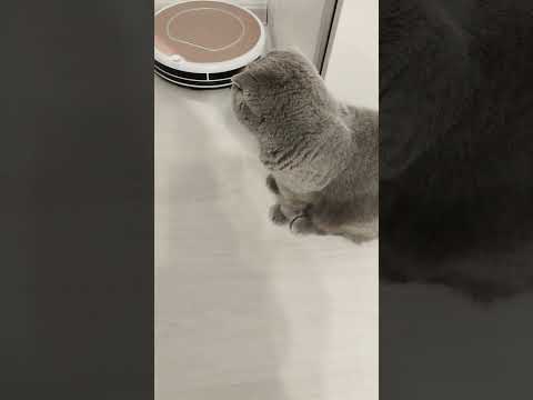 Видео: 13 ноября 2025 г.