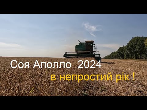 Видео: Початок жнив сої🫛. Аполло теж стріляє❓ Підготовка ангару.