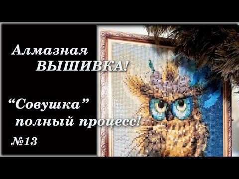 Видео: #13 Сова. Алмазная ВЫШИВКА полный процесс! Чудная Совушка!
