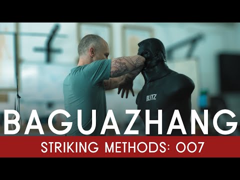 Видео: Ударная техника багуачжан №7 | Медведь встаёт