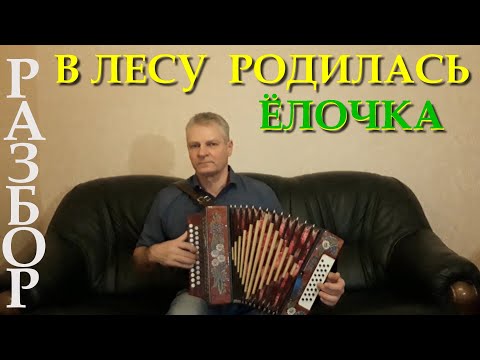 Видео: В лесу родилась ёлочка 🎄. Разбор на гармони. Цифры. Николай Гарбузов