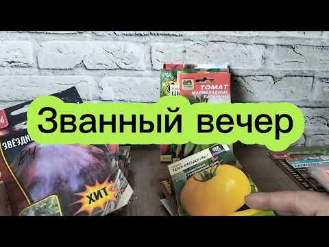 Видео: Томаты-экзоты, черри и.т.д .Что оставлю к сезону 2026?