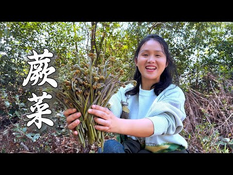 Видео: Соберите горсть папоротников и приготовьте уникальное лакомство, очень вкусное!