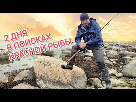 Видео: Ловля лосося и морской форели спиннингом.Трудовая рыбалка.