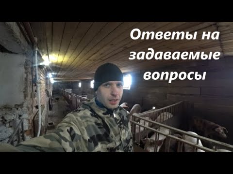 Видео: Как Изменилось Старое Помещение  В 2025 Году