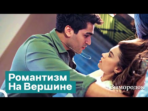 Видео: Мы Пылаем Страстью Первого Поцелуя | Зимородок