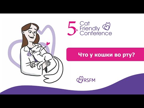 Видео: Вирусные инфекции кошек и хронический гингивостоматит