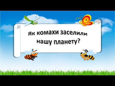 Видео: Урок 62.  "Як комахи заселили нашу планету?" Я досліджую світ 3 клас