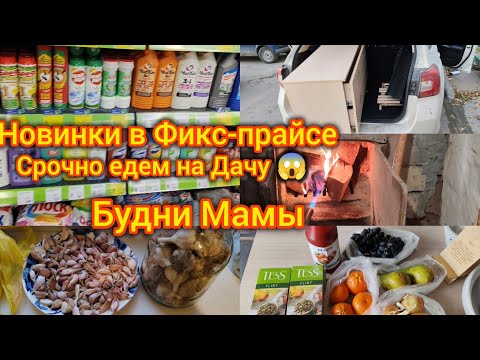 Видео: Новинки в Фикс-прайсе.Распаковка. Срочно едем на дачу! Будни мамы!