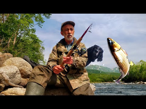 Видео: БОЛЬШАЯ и МАЛЕНЬКАЯ ГОРНАЯ РЫБАЛКА на реках Приморского края.