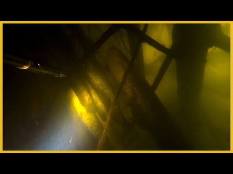 Видео: ОСІНЬ...ЩО ТАМ НА ДЕСНІ?ПІДВОДНЕ ПОЛЮВАННЯ 2022