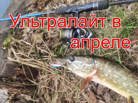 Видео: Ловлю щучек на TsuYoki Rival 56. Лебедь чуть не утопил утку