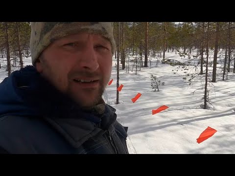 Видео: По следу зверя. Часть 2. #охота #охота_на_волка #hunting