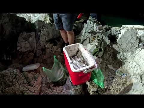 Видео: Fishing in Greece: Crazy night fishing for horse mackerel/Луд  нощен риболов на сафрид