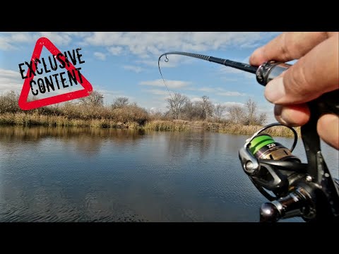 Видео: ШОК.  ЭТА СНАСТЬ ПЕРЕЛОВИЛА ВСЕХ, когда ничего не работает. Наловил кучу рыбы в конце октября.