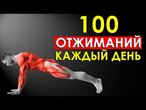 Видео: Вот Что Произошло с Моим Телом, Когда Я Начал Отжиматься по 100 Раз Каждый День (Впечатляет)