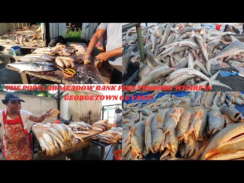 Видео: ПОПУЛЯРНЫЙ ПРИЧАЛ ТОРГОВЦЕВ РЫБЫ MEADOW BANK В ДЖОРДЖТАУНЕ, ГАЙАНА!