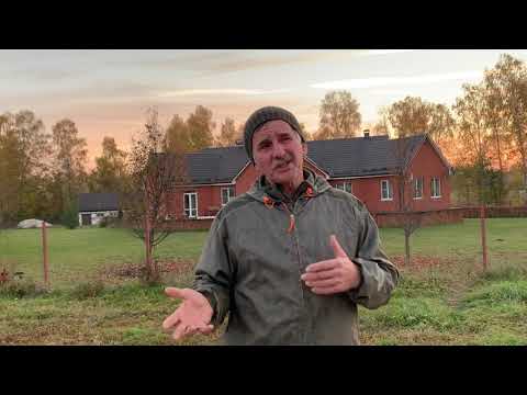 Видео: Ошибки нашего хозяйства - ч.1