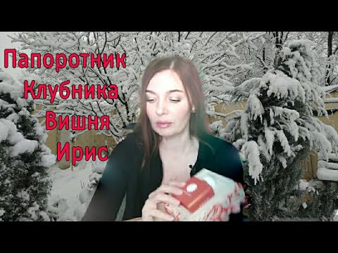 Видео: Любимые ароматы этой зимы😍 Amouage, HFC, THoO, Burberry, Lalique