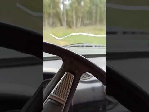 Видео: Покос 2025,не покос а сплошная головная боль.