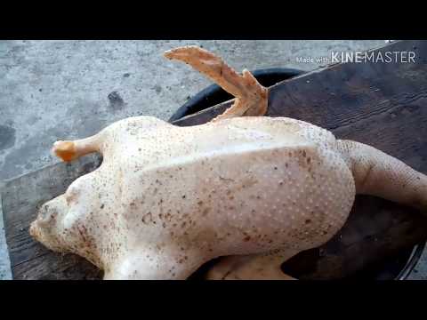 Видео: Ощип уток, мой метод.