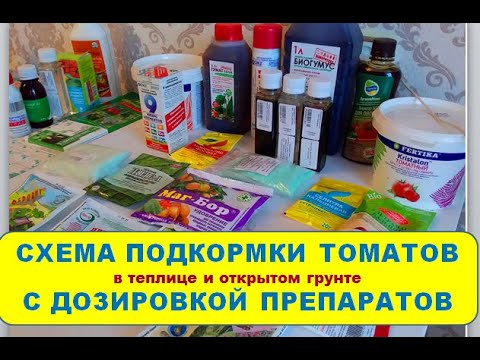 Видео: Схема ПОДКОРМКИ томатов с ДОЗИРОВКОЙ препаратов
