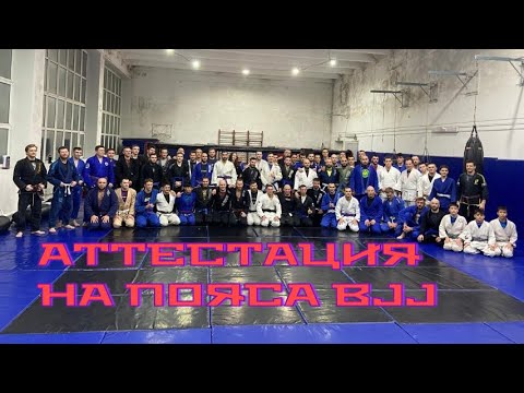 Видео: Аттестация на пояса 10.01.2025 | BJJ Красноярск TEAM STRELA