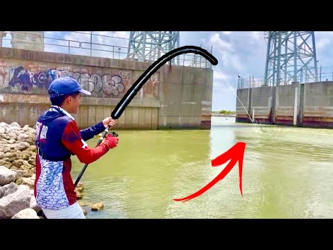 Видео: Эта РЫБА принесла мне трофей и немного ДЕНЬГ! (Техас-Сити) ЧАСТЬ 2